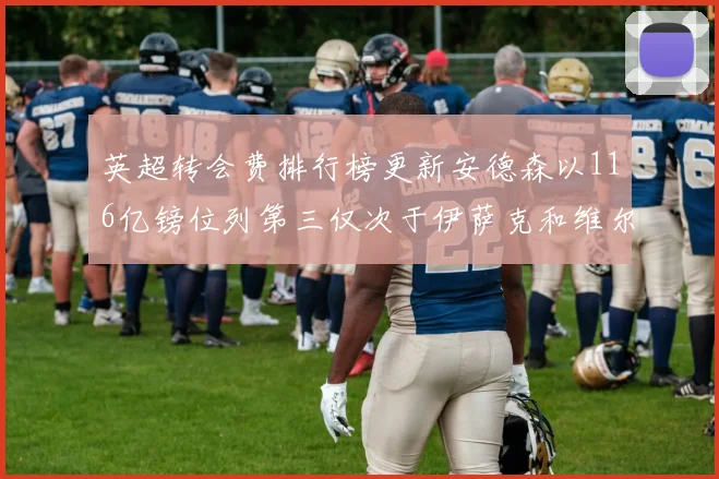 英超转会费排行榜更新安德森以116亿镑位列第三仅次于伊萨克和维尔茨